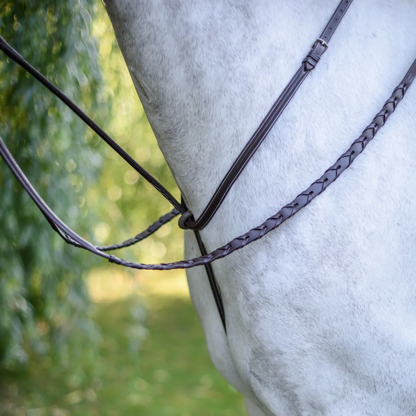 Mondega Standing Martingale