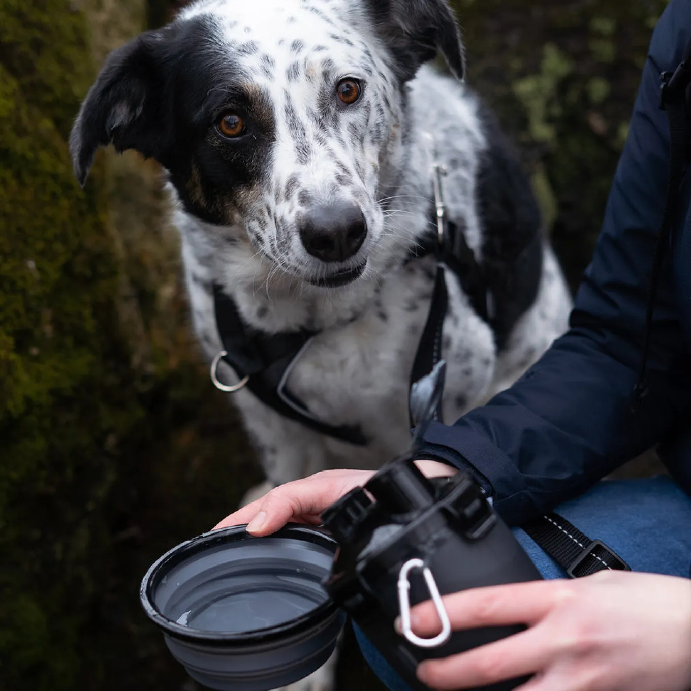 Muttluks MuTTravel Bottle