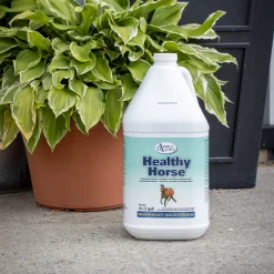 Omega Alpha Healthy Horse 4 L