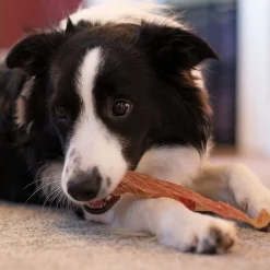Open Range Beef Tendon Dog Chew 12 cm