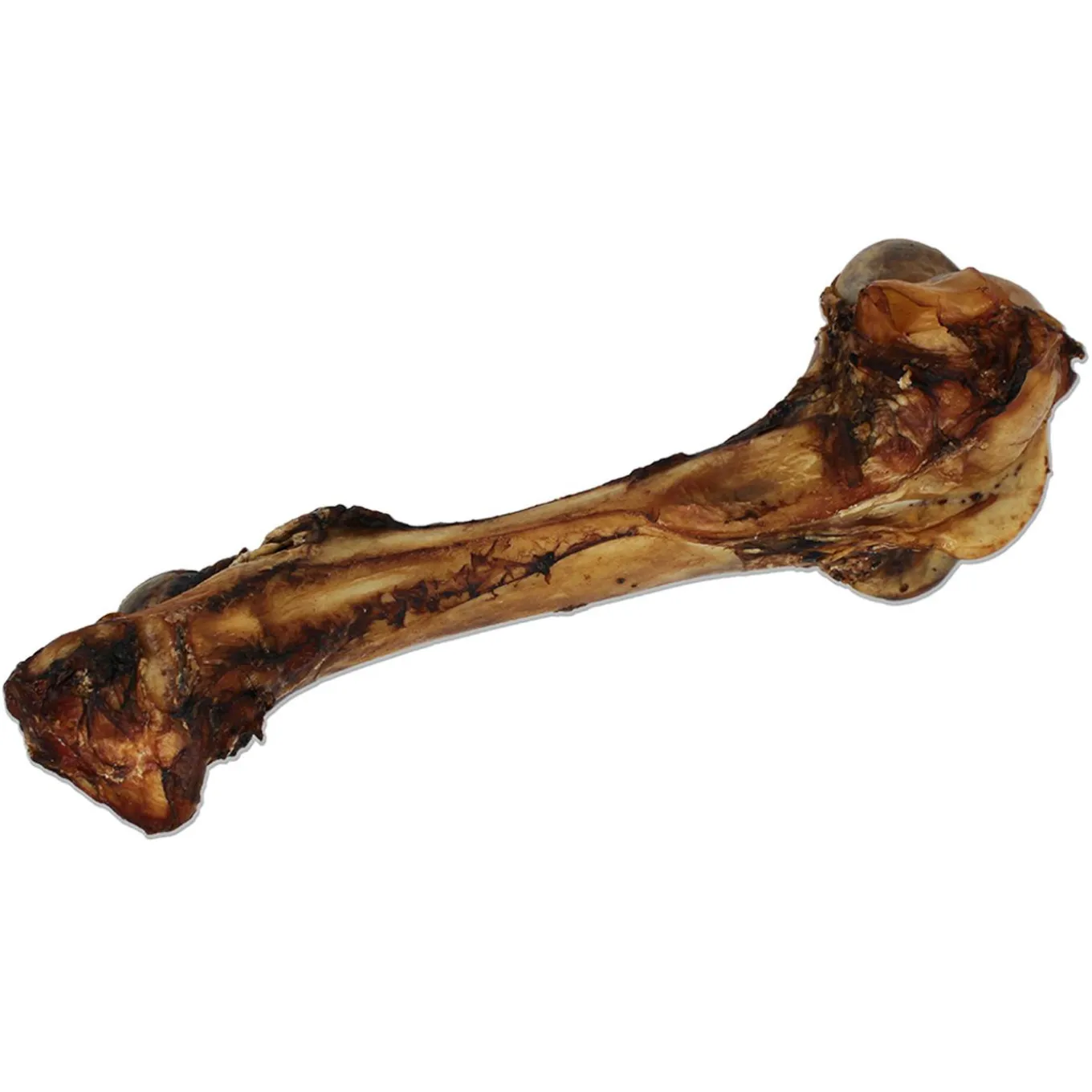 Open Range Cured Dino Bone Dog Chew