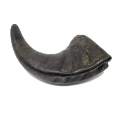 Open Range Small Water Buffalo Horn Dog Chew