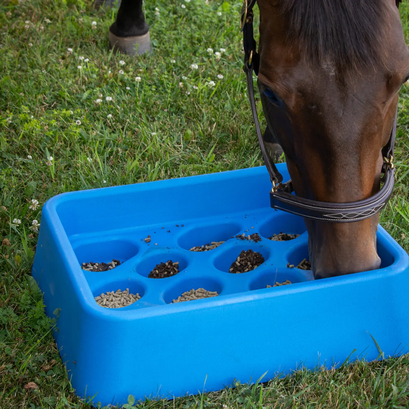 Parallax Gradual Feeder