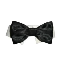 Pooch Outfitters Dog Shirt Collar W/ Satin Bowtie