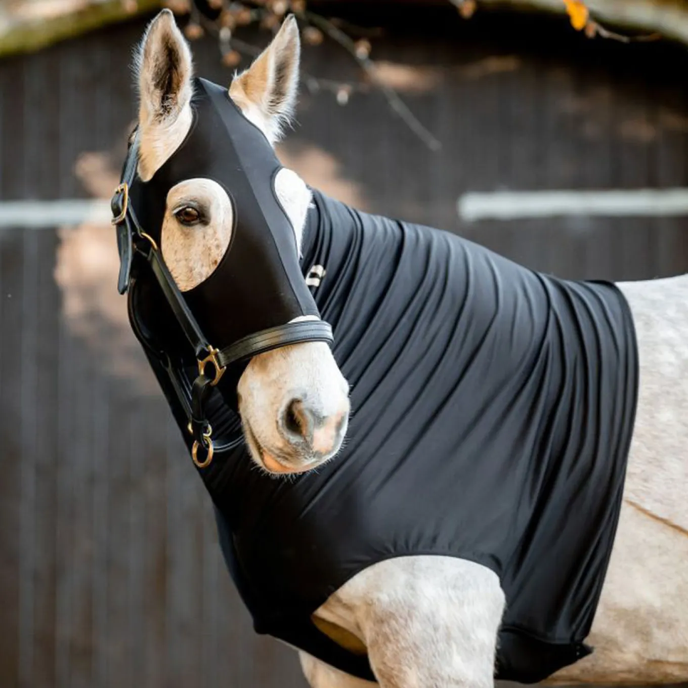 Rambo Slinky Hood