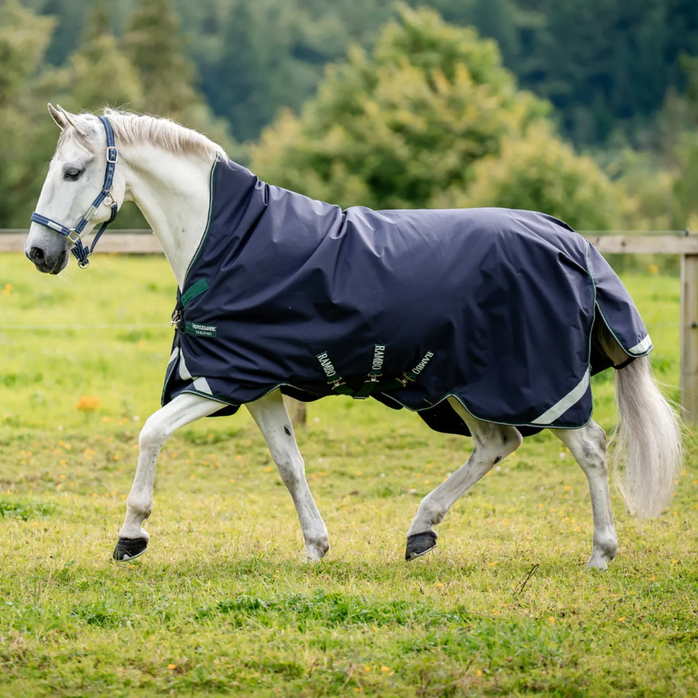 Rambo Wug 1680D Turnout Blanket 50 g