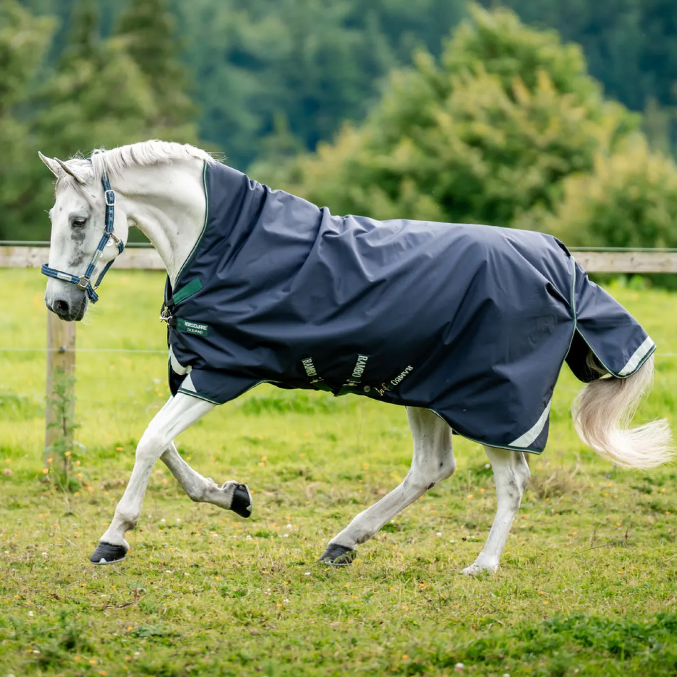 Rambo Wug 1680D Turnout Blanket 400 g