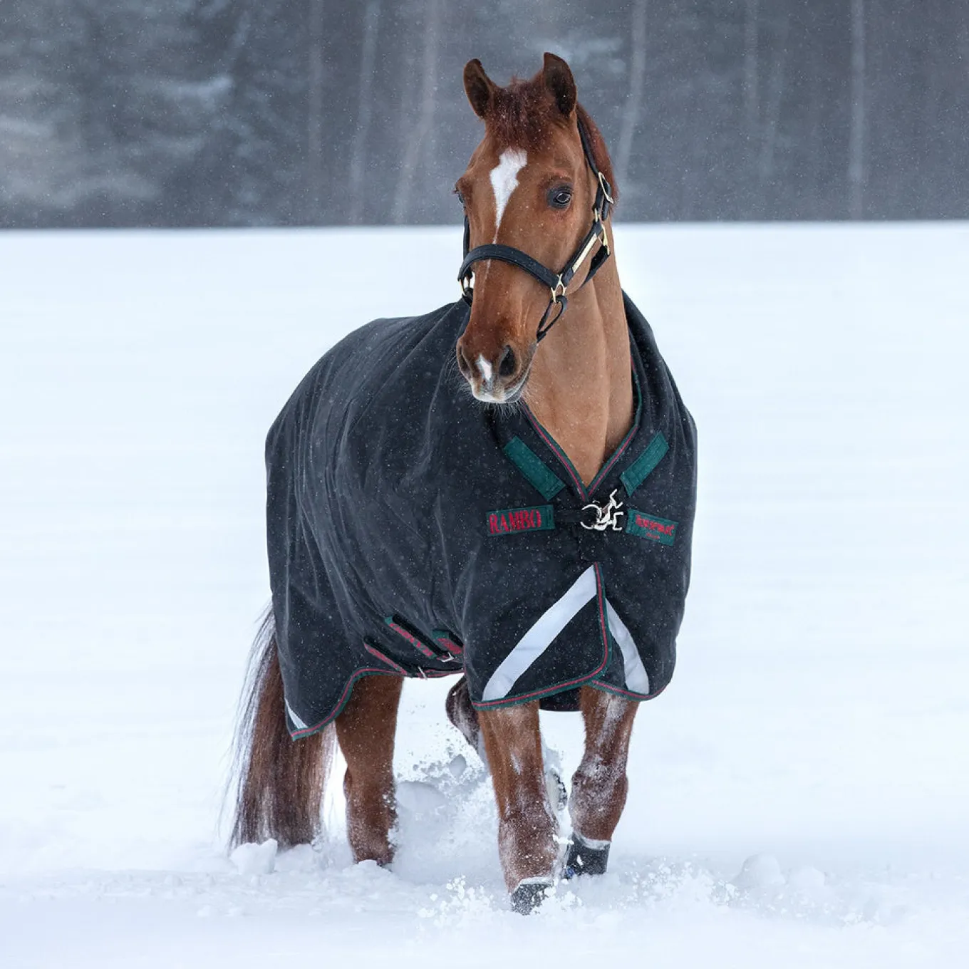 Rambo Wug Heavy Turnout Blanket 400 g