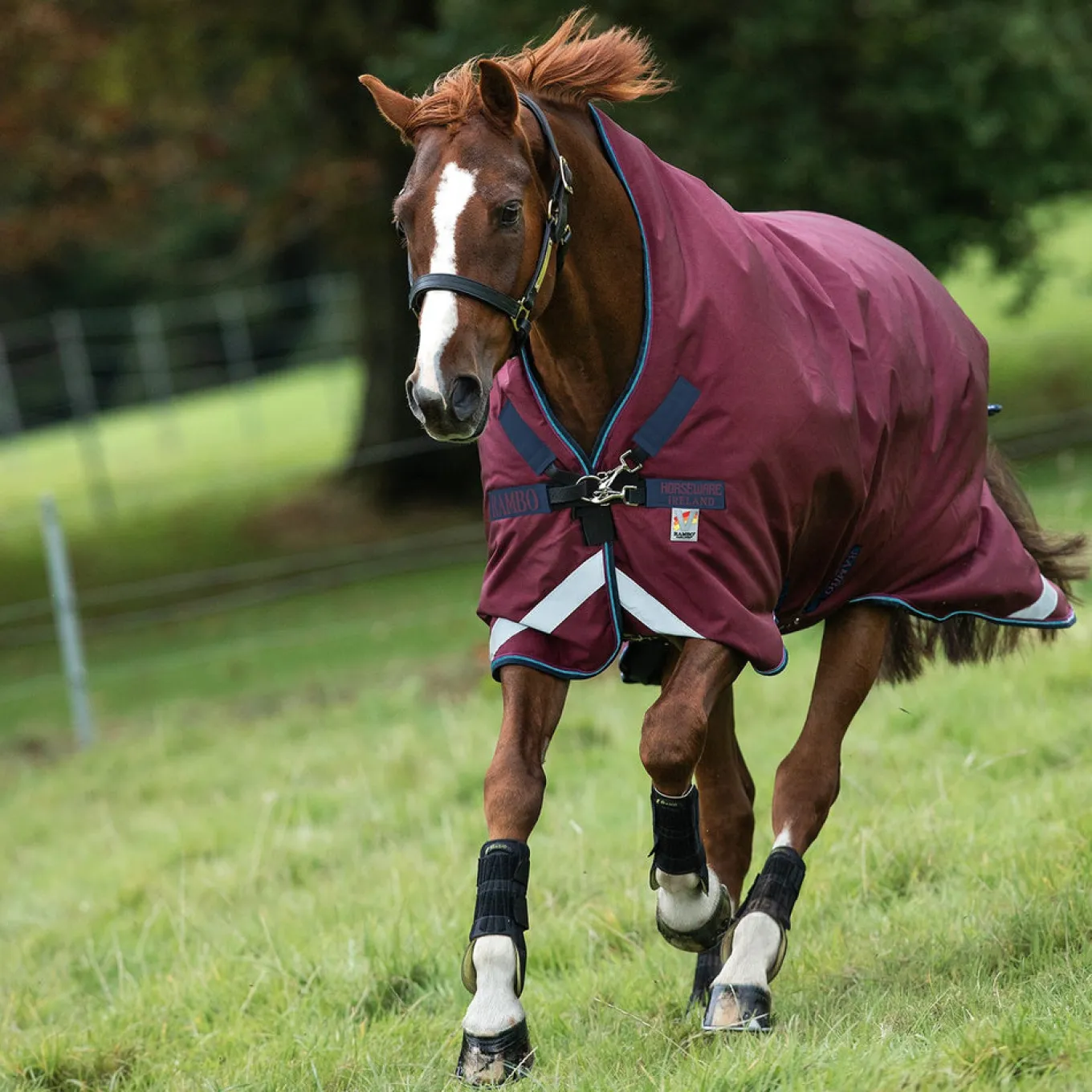 Rambo Wug Medium Turnout Blanket 200 g