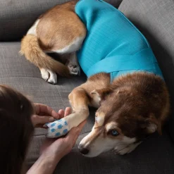 RC Pet At Ease Calming Vest