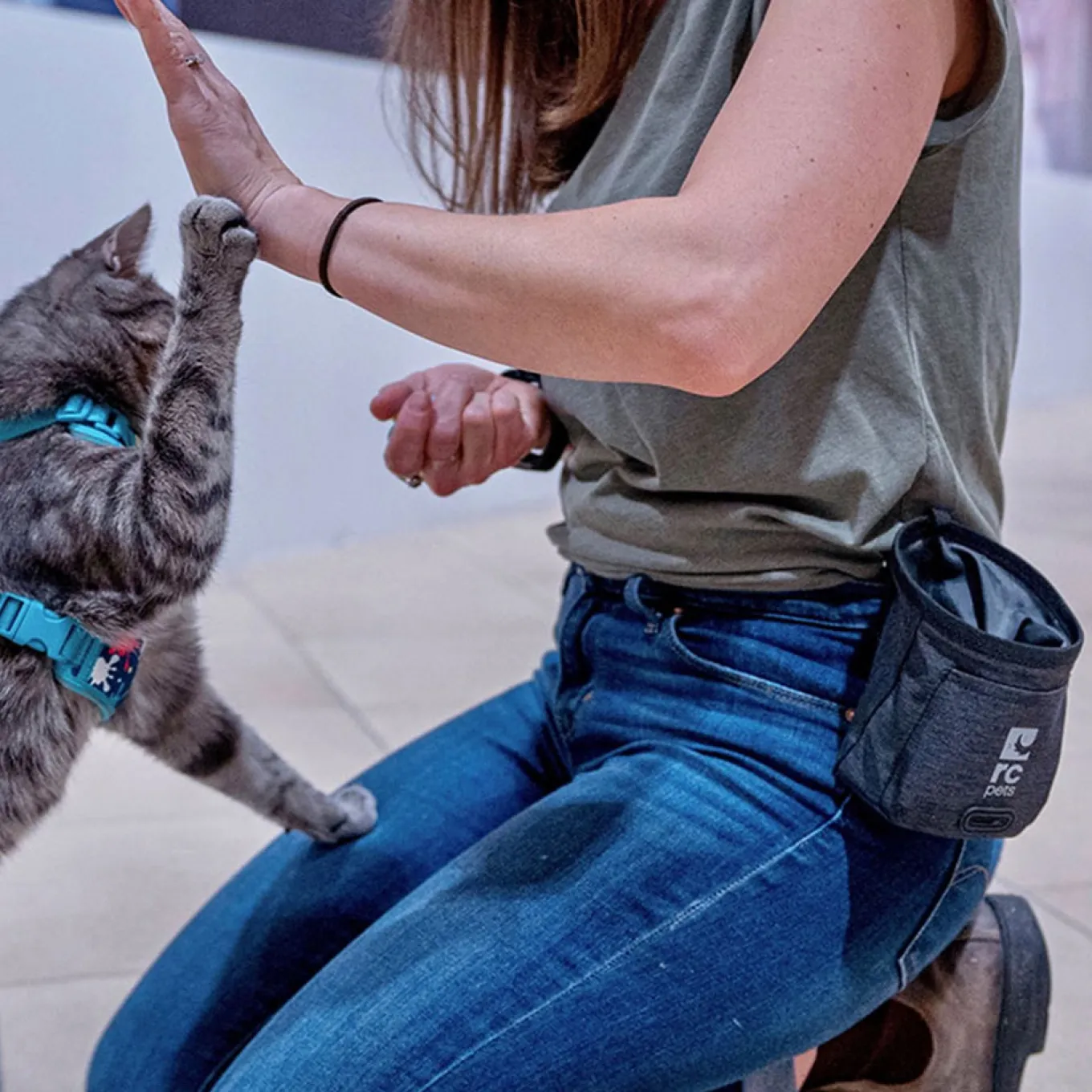 RC Pet Essential Treat Bag