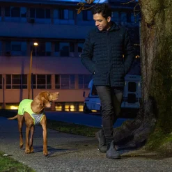 RC Pet Luna Hi-Vis Vest