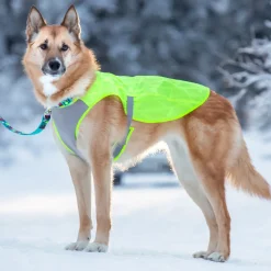 RC Pet Luna Hi-Vis Vest