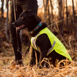 RC Pet Luna Hi-Vis Vest