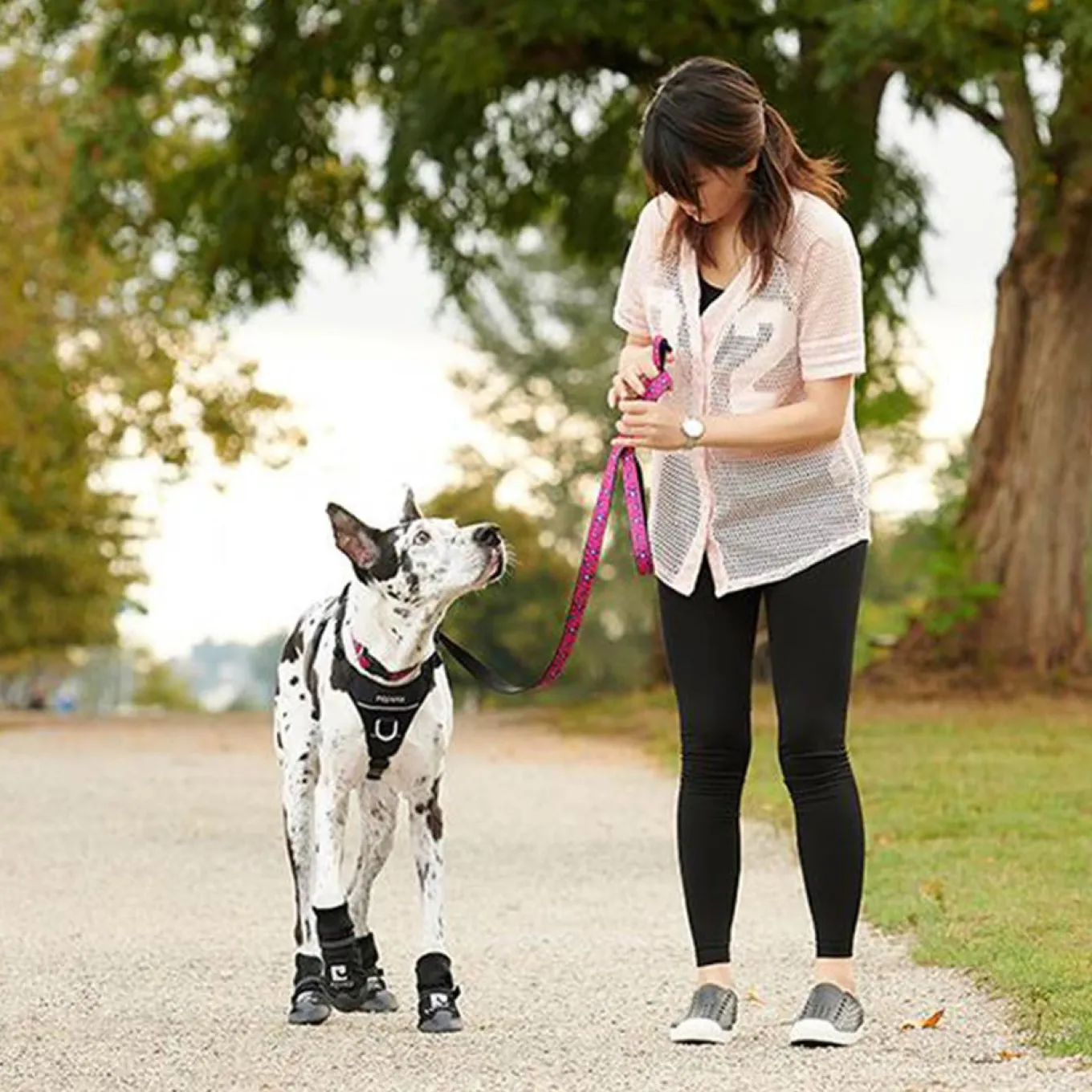 RC Pet Momentum Control Harness