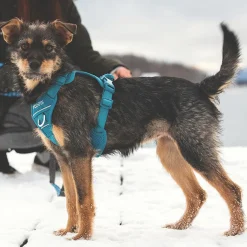RC Pet Momentum Control Harness