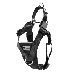 RC Pet Tempo No Pull Dog Harness