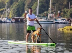 RC Pet Tidal Life Vest
