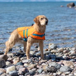 RC Pet Tidal Life Vest