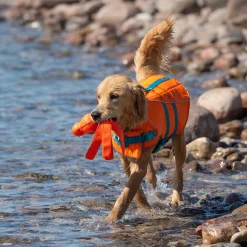 RC Pet Tidal Life Vest