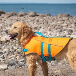 RC Pet Tidal Life Vest