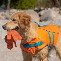 RC Pet Tidal Life Vest