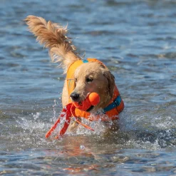 RC Pet Tidal Life Vest