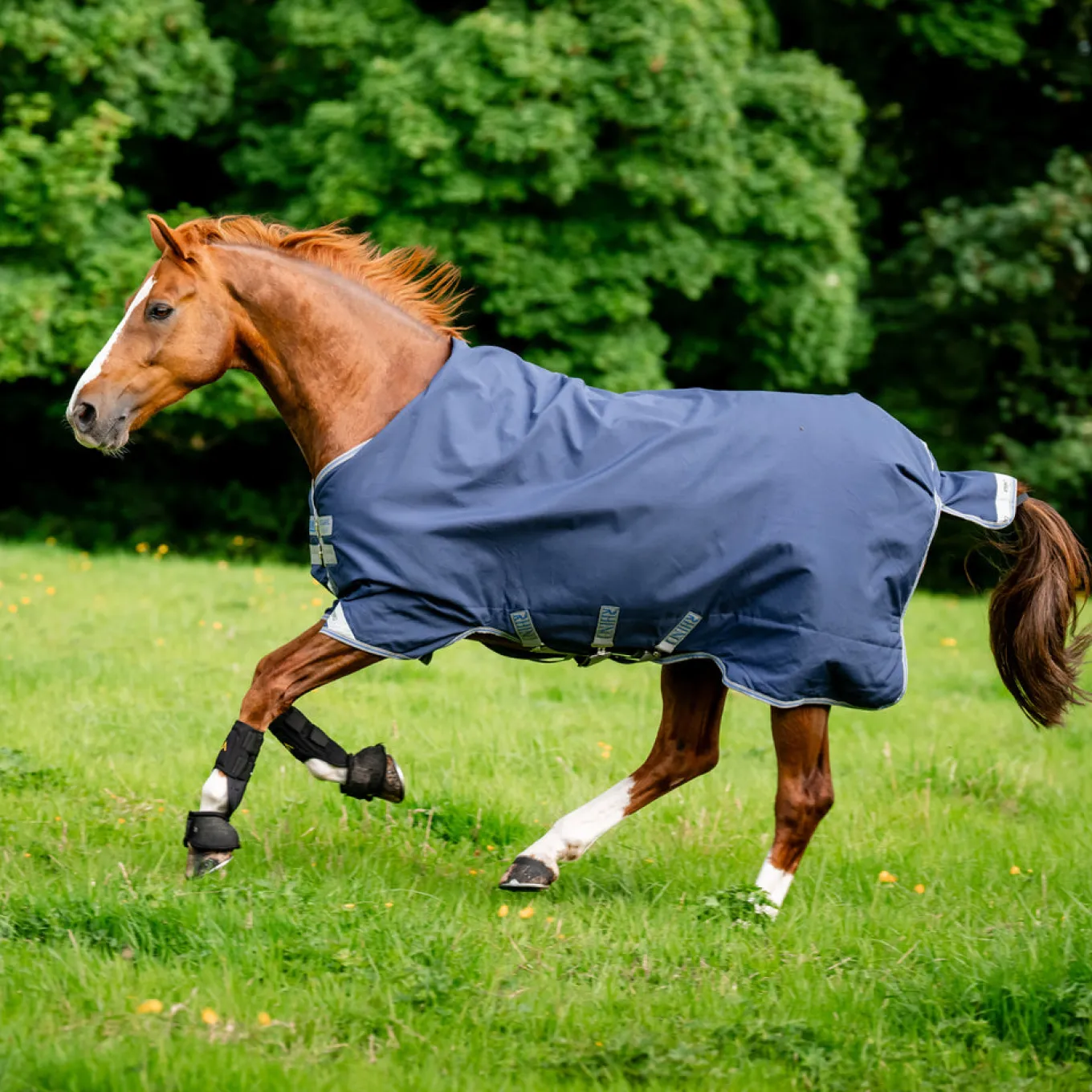 Rhino Original Lite Turnout Blanket 0 g