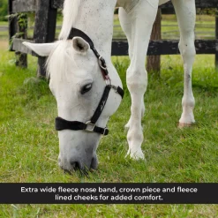 Shedrow Breakaway Halter W/ Fleece