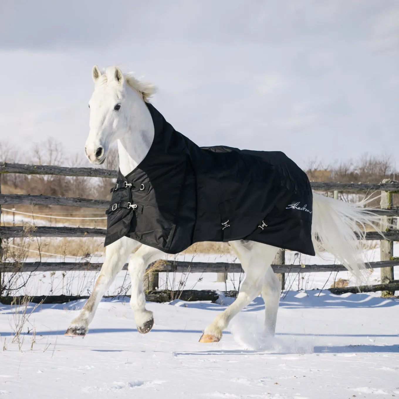 Shedrow Comfort Neck Turnout Blanket 300 g