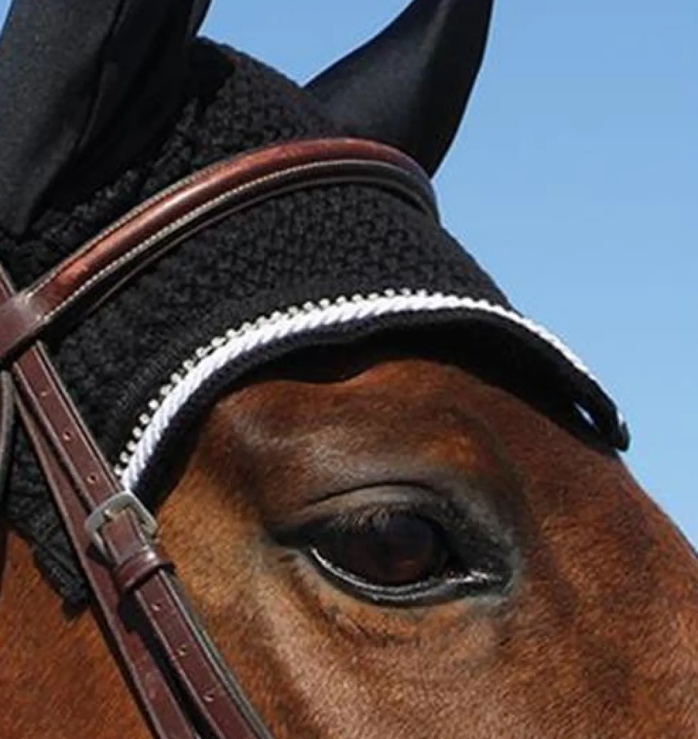 Shedrow Deluxe Crystal Fly Veil