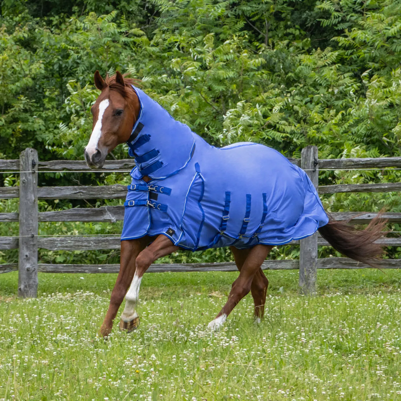 Shedrow Extend-A-Neck Fly Sheet 2.0