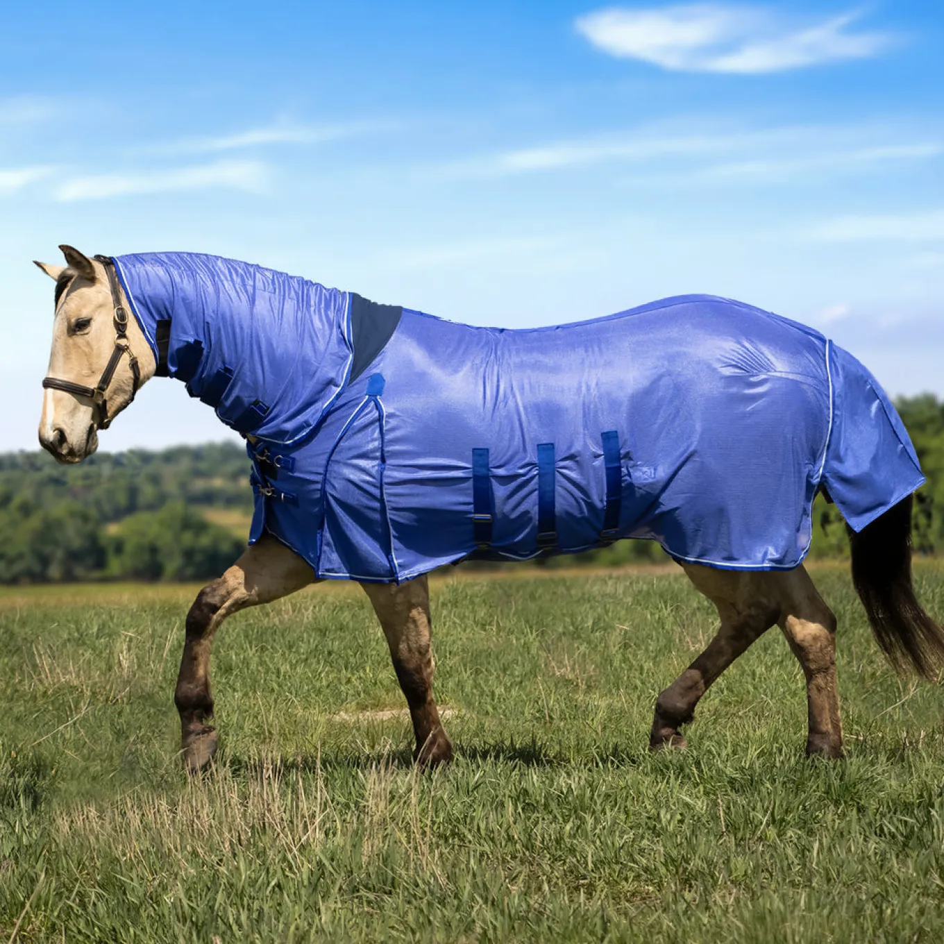 Shedrow Extend-A-Neck Fly Sheet 2.0