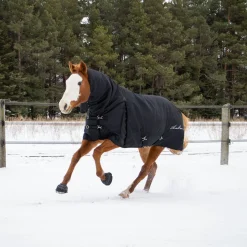 Shedrow Full Neck Turnout Blanket 300 g