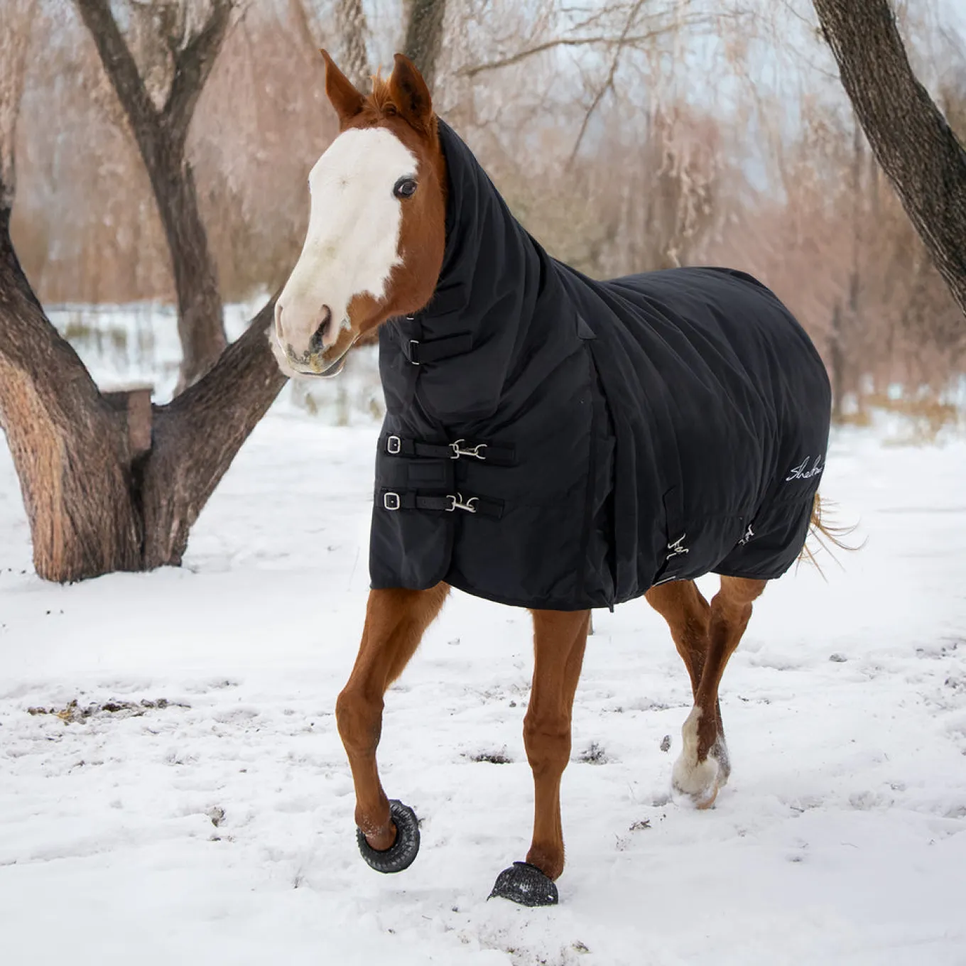 Shedrow Full Neck Turnout Blanket 300 g