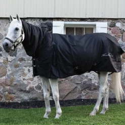 Shedrow Full Neck Turnout Blanket 300 g