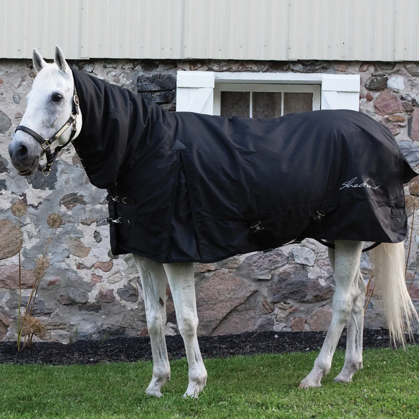 Shedrow Full Neck Turnout Blanket 300 g