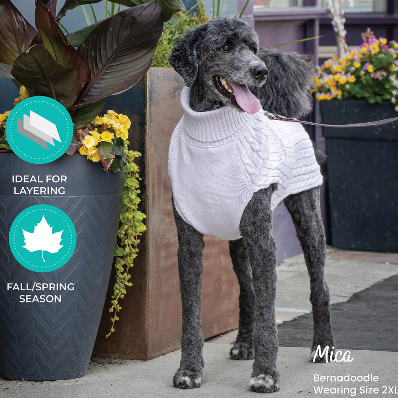 Shedrow K9 Brentwood Cable Knit Dog Sweater Plus