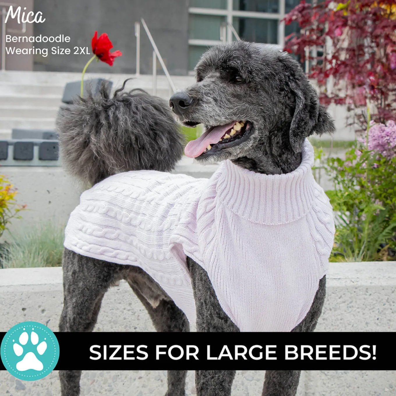 Shedrow K9 Brentwood Cable Knit Dog Sweater Plus