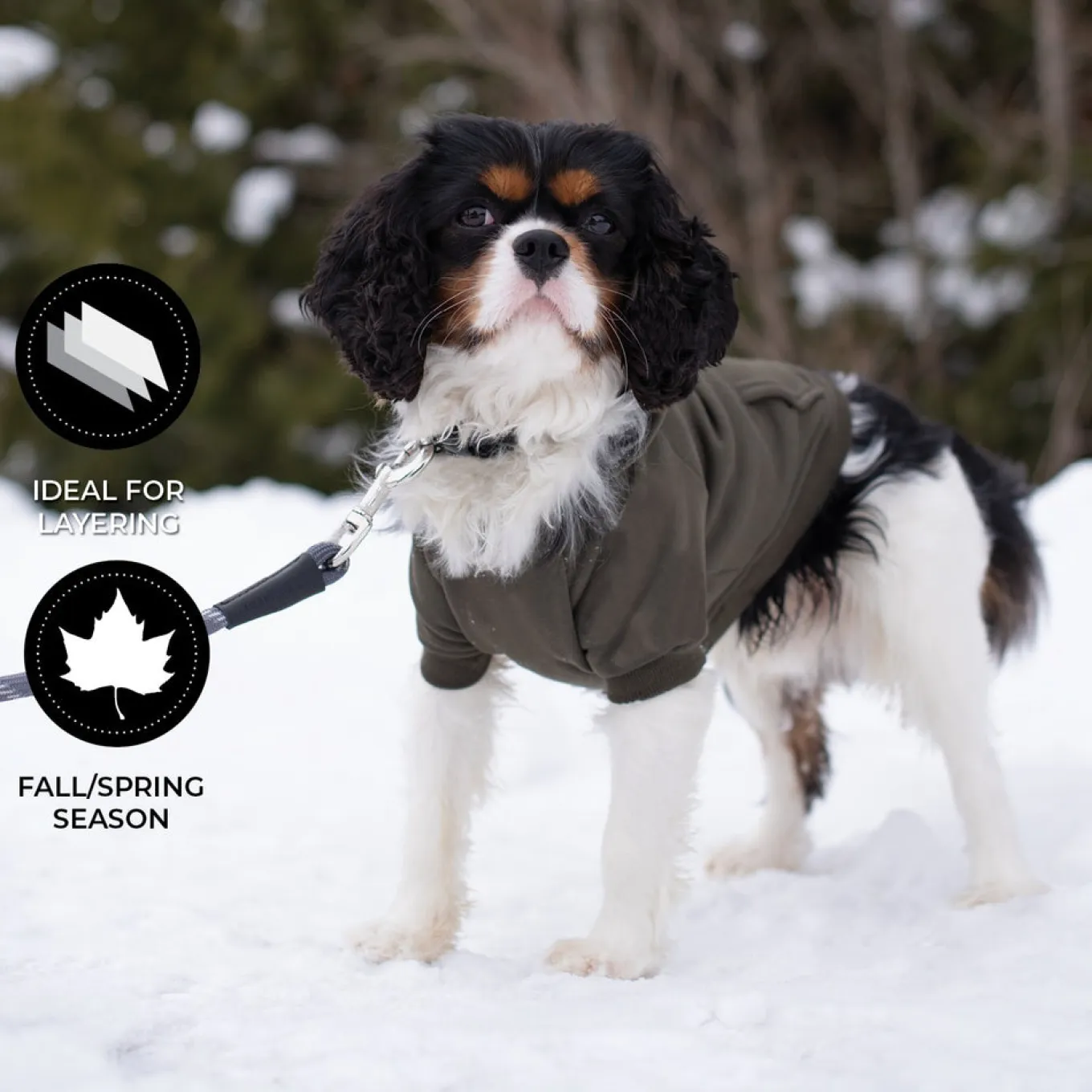 Shedrow K9 Brentwood Dog Hoodie