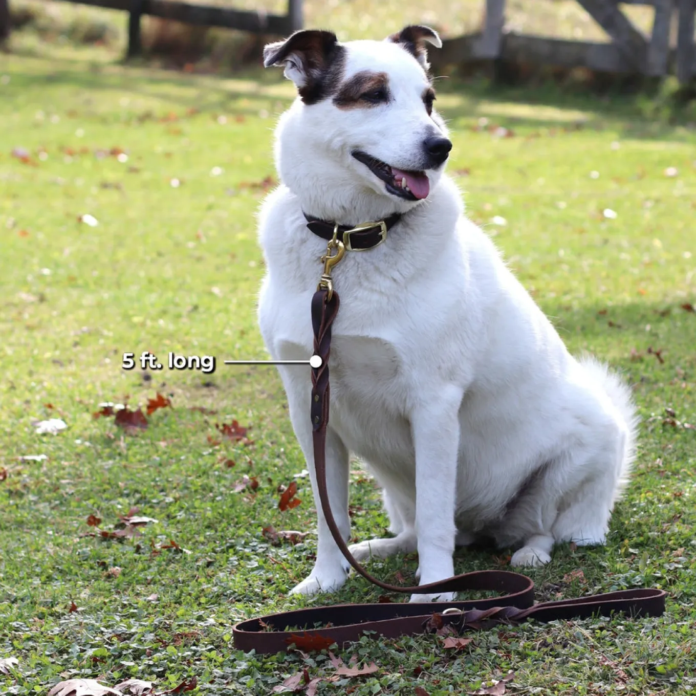 Shedrow K9 Bristol Twisted Leather Leash 1.5 m