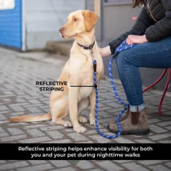 Shedrow K9 Camino Rope Leash