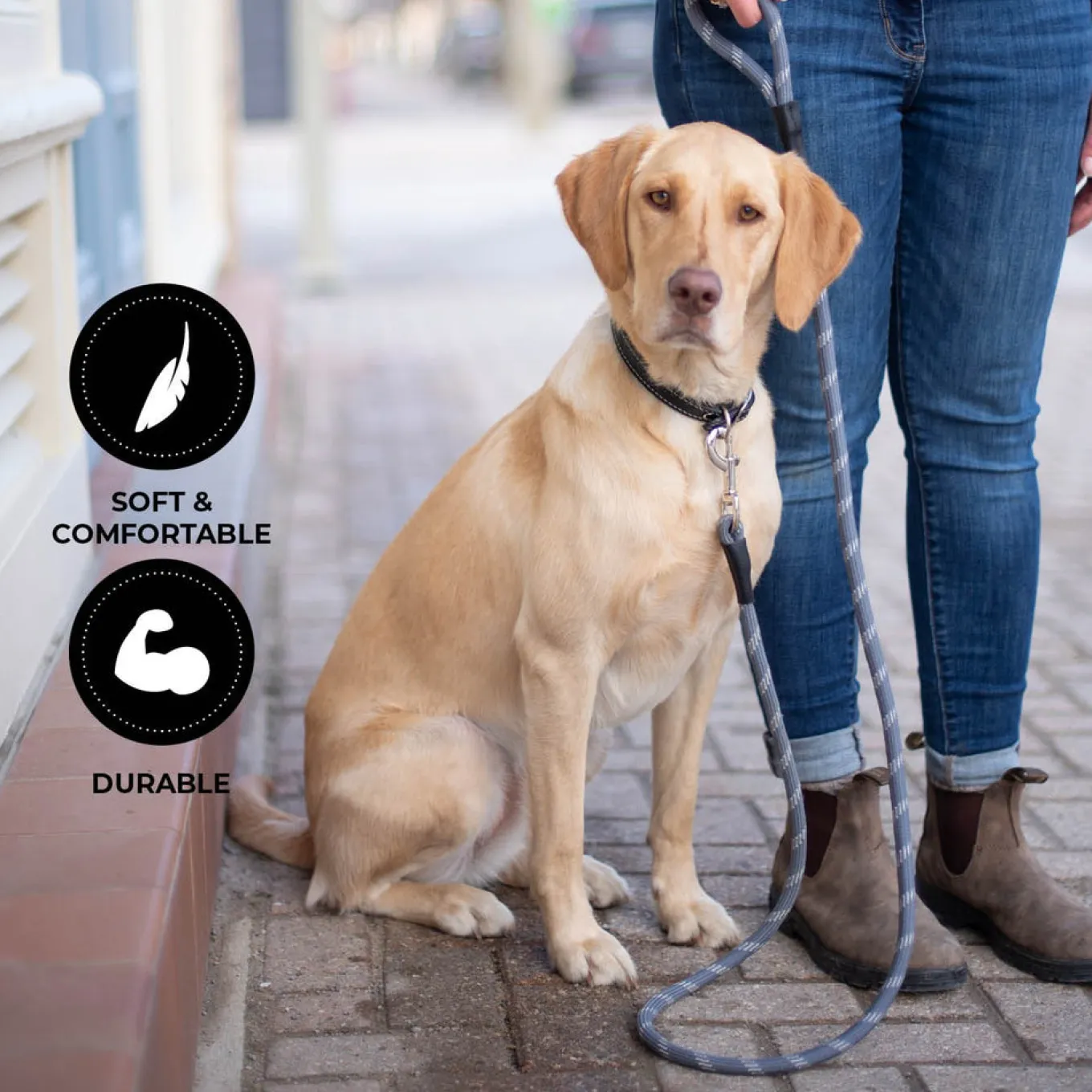 Shedrow K9 Camino Rope Leash