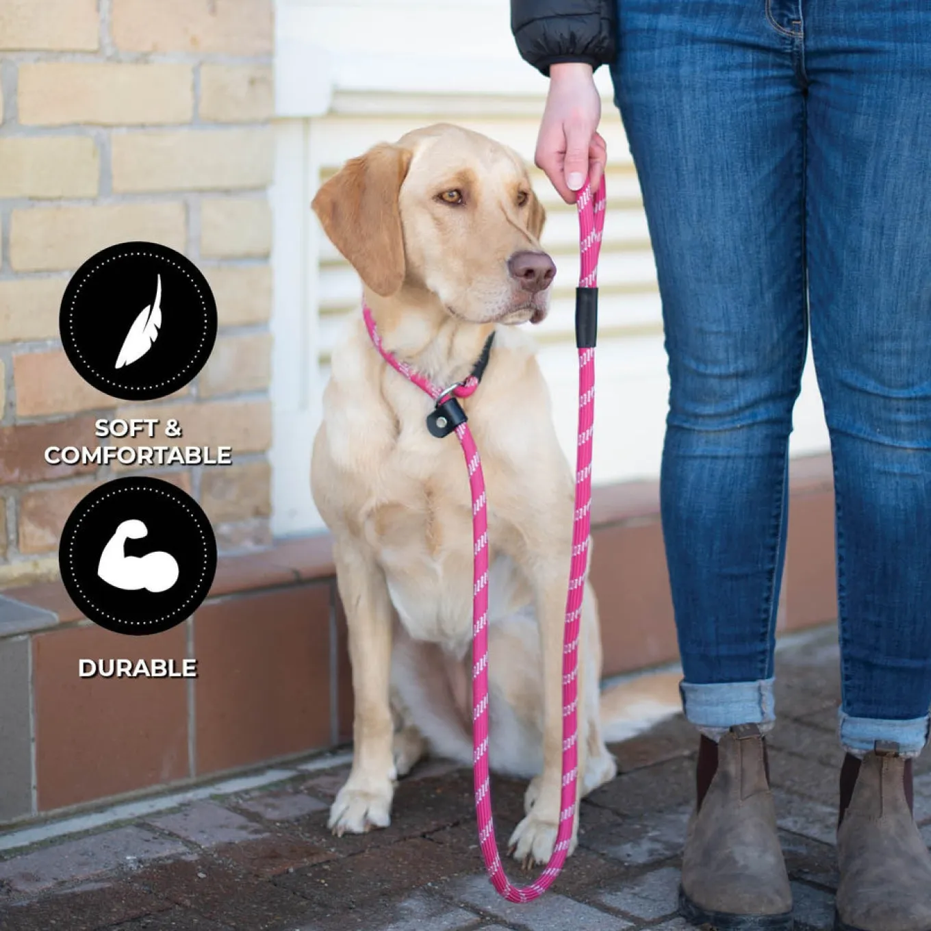 Shedrow K9 Camino Rope Slip Leash