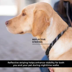 Shedrow K9 Camino Rope Slip Leash