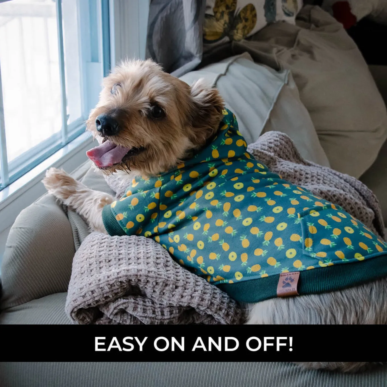 Shedrow K9 Canmore Dog Hoodie