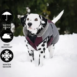 Shedrow K9 Chinook Dog Coat