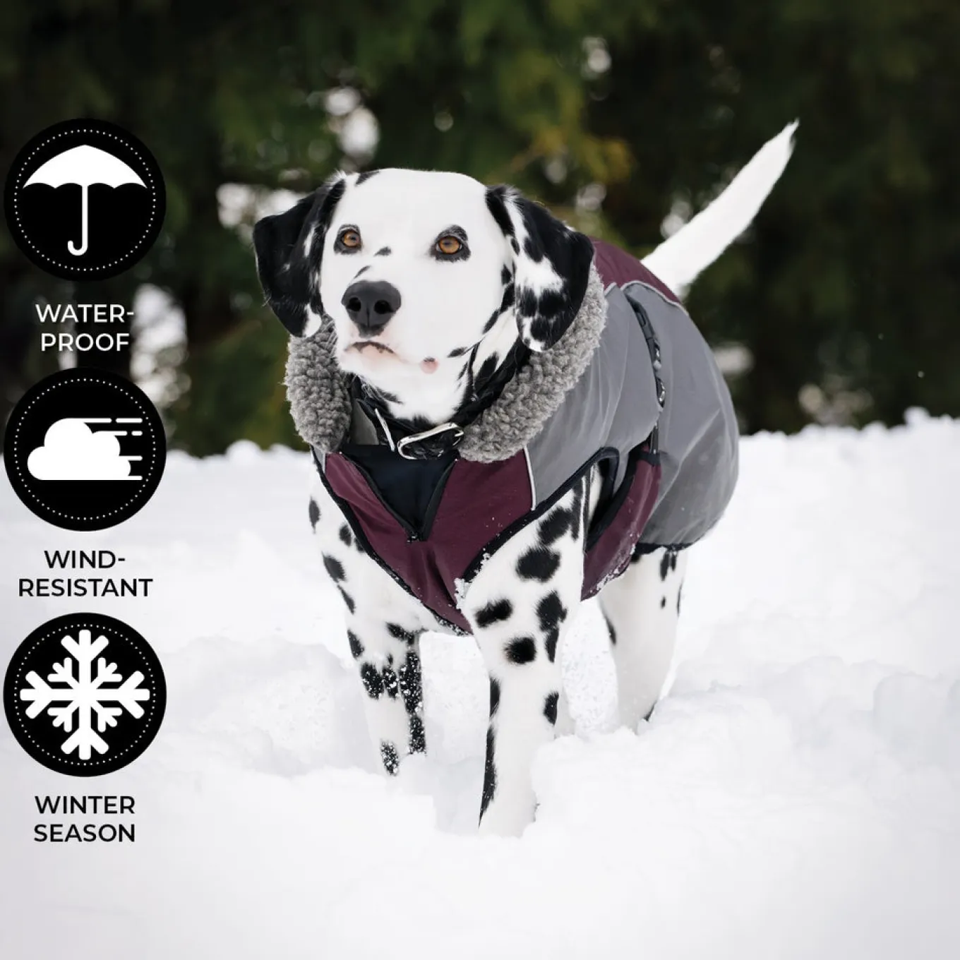 Shedrow K9 Chinook Dog Coat