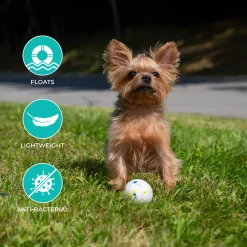 Shedrow K9 FlexiPlay Ball