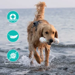 Shedrow K9 FlexiPlay Bone